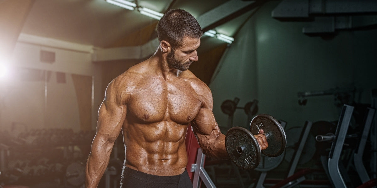 Force-Multiplier: PurpleForce