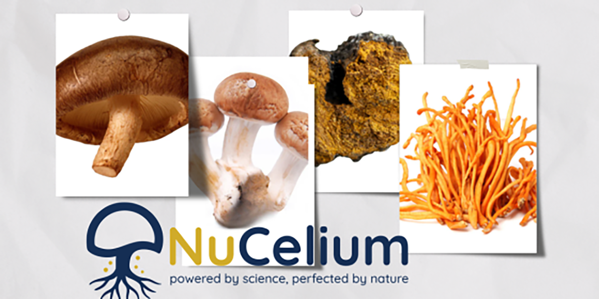NuCelium™ Mushrooms – A Deep Dive Into Full-Spectrum Performance