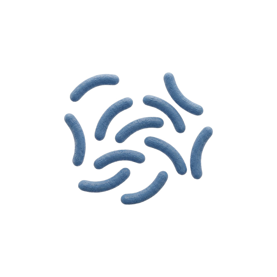 Acts as a continuous, natural source of butyrate to mimic the body’s own butyrate cycle