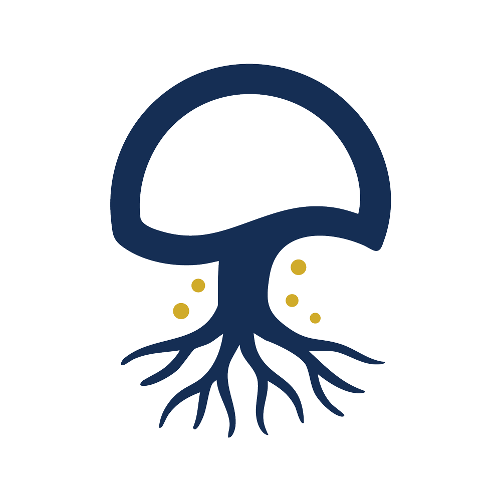 Premium North American organic mushroom powders