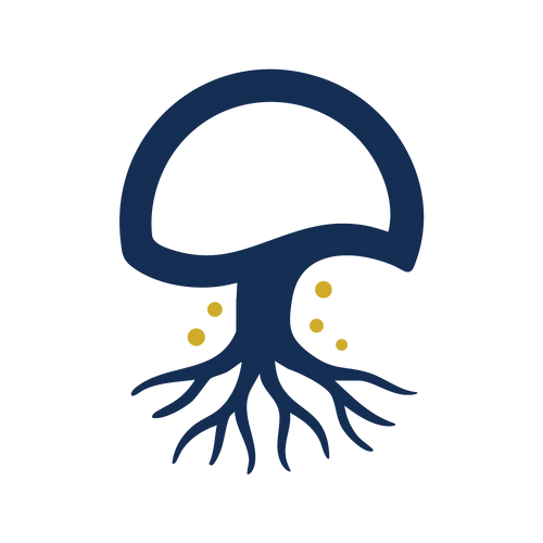 Premium North American organic mushroom powders