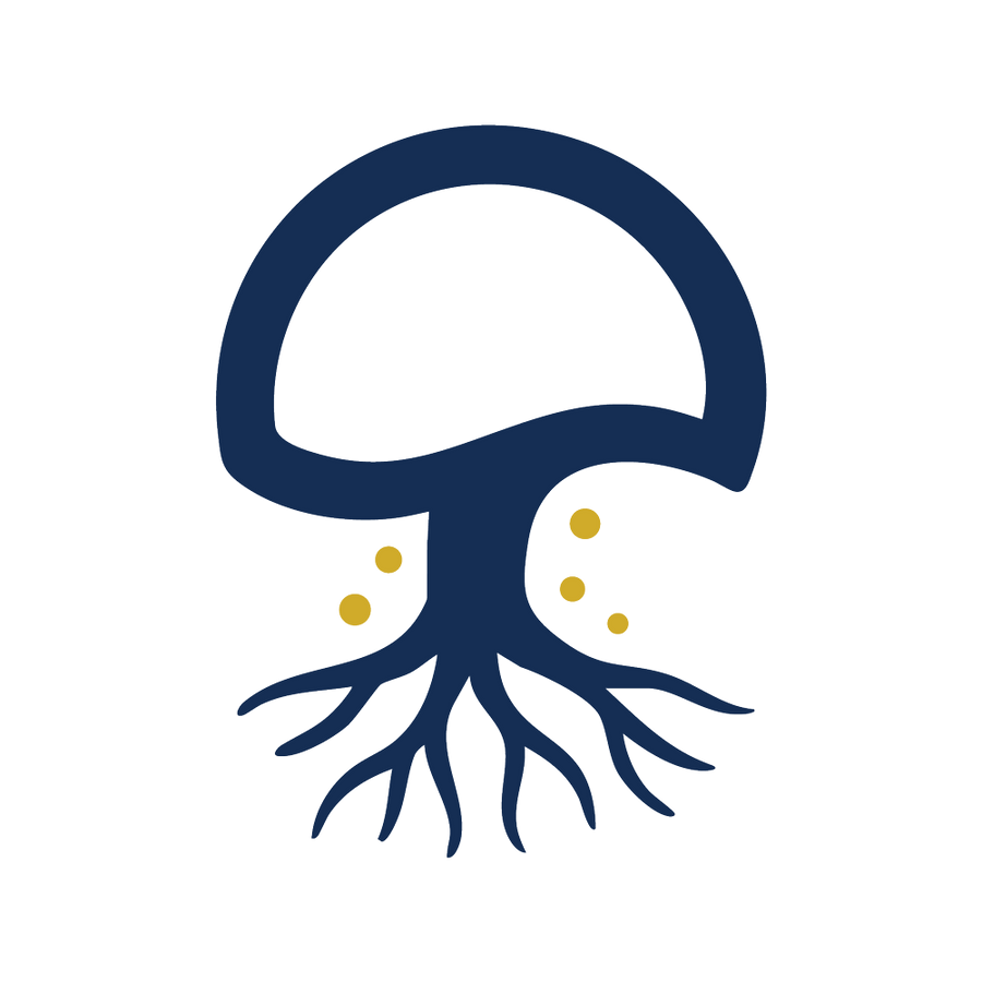 Premium North American organic mushroom powders