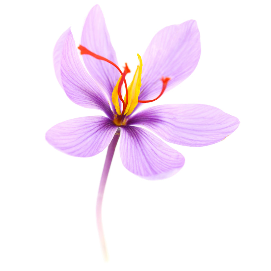 Clinically validated saffron extract for stress, mood and sleep support.