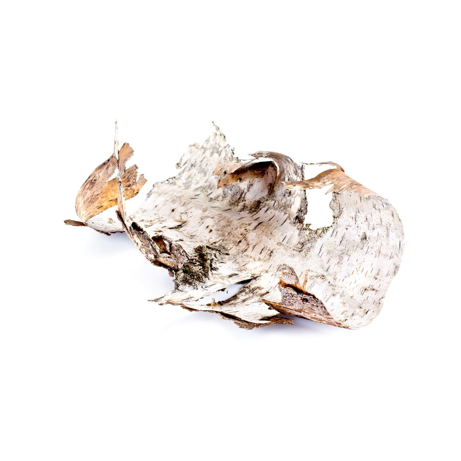 Standardized to not less than 60% betulin