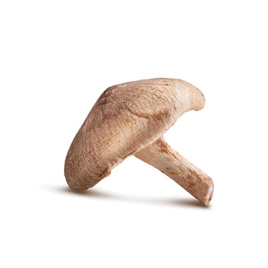 Cultured mushroom mycelia extract