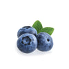 Anthocyanin-rich bilberry extract