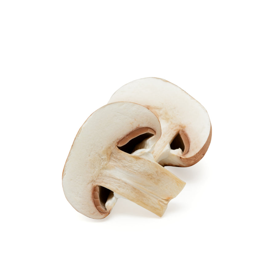 Patented Champignon Mushroom Extract