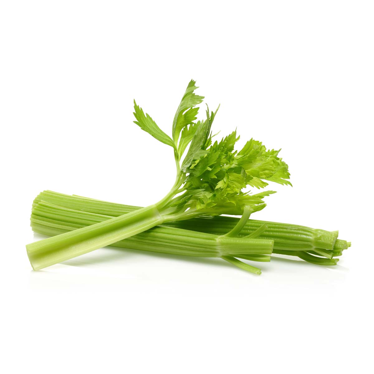 Celery seed extract