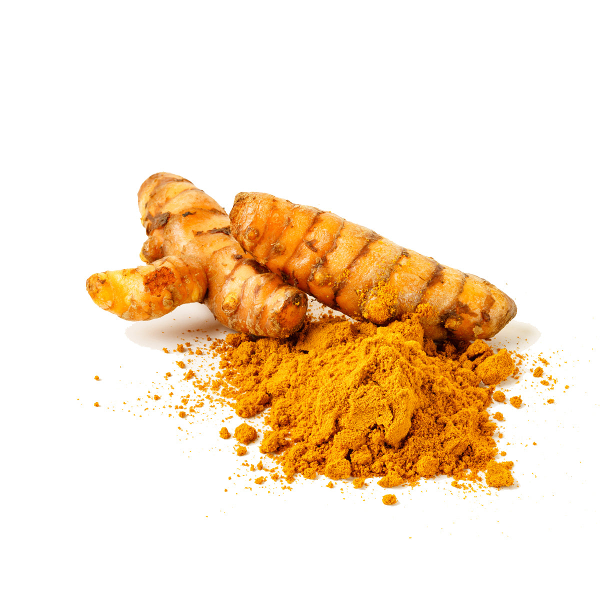 Evaluating the Differences between Fresh and Dried Turmeric