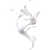 Lactoferrin